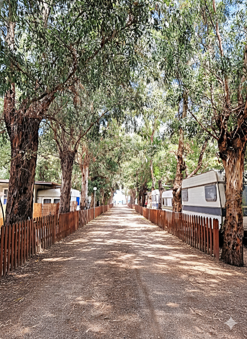 Pineta mediterranea del campeggio