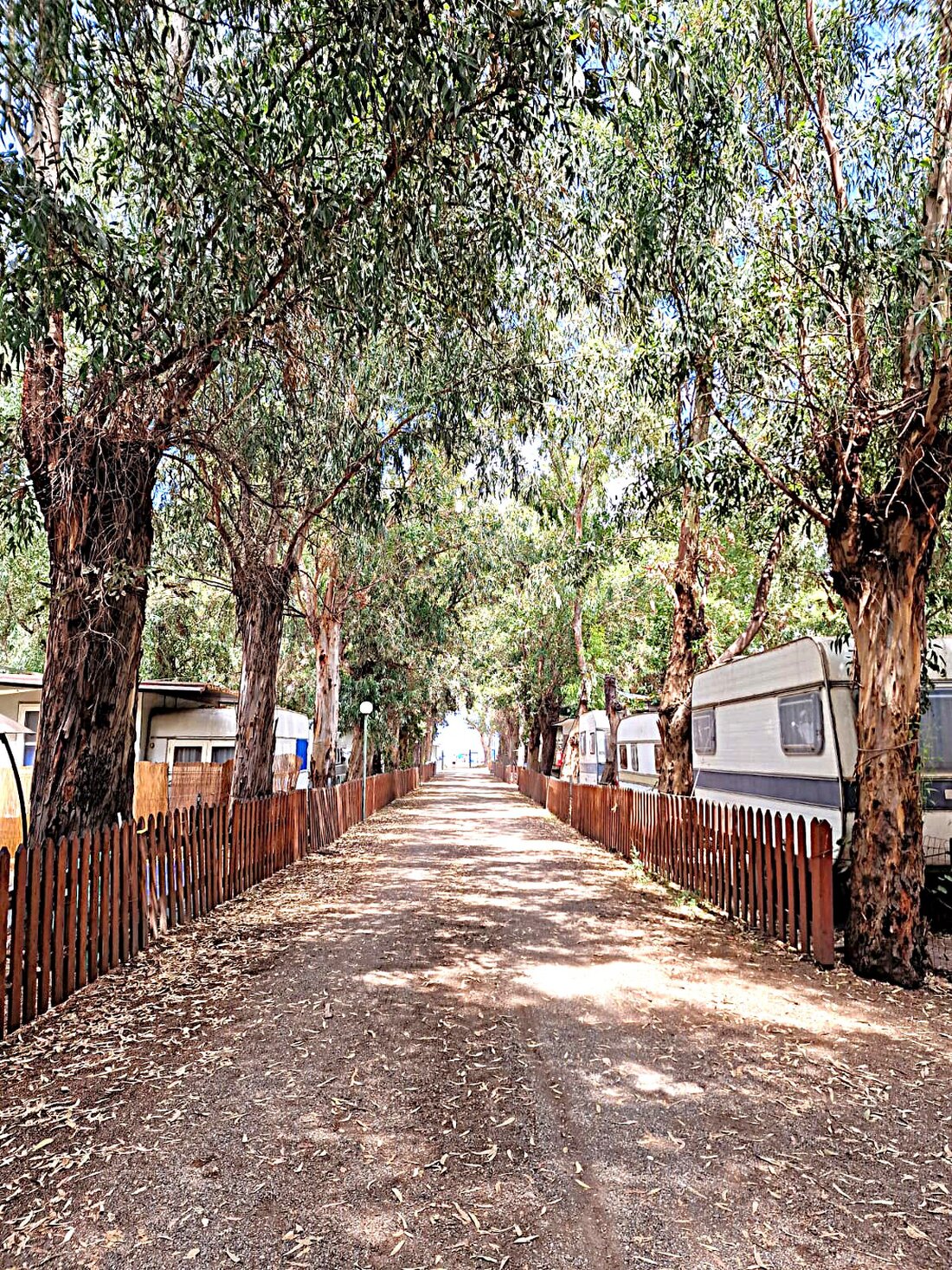 Roulotte attrezzata nel campeggio